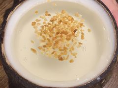 -椰爺爺·椰子冻砵仔糕