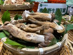 -黔蘑菇四季餐厅(观山湖店)