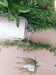 -威思丽高温瑜伽会馆