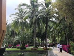 -三亚湾海居铂尔曼度假酒店