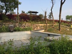 -汤山温泉房车营地 茶温泉