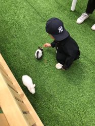 -萌宠亲子动物乐园(槐房万达店)