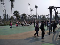 -枫香湖儿童公园