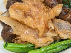 -淳(美狮美高梅店)