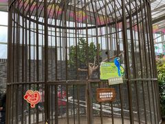 -南宫五洲植物乐园