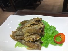 -德兴馆(广东路总店)