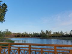 -东郊湿地公园