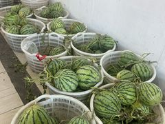 -侬佳蒸菜馆(听潮店)