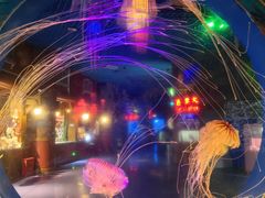 -太平洋海底世界