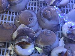 -日照大牌檔•小船海鲜(万平口店)