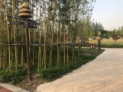 -上海长兴岛郊野公园