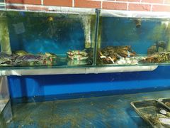 水产区-海帮主·蒸汽海鲜青岛菜(栈桥火车站店)