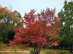 -国家植物园南园