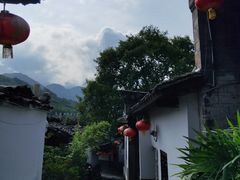 -后柳水乡