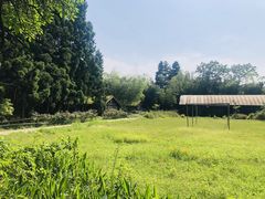 -重庆雨台山风景区
