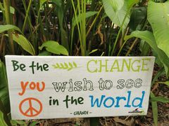 -大象粑粑造纸公园