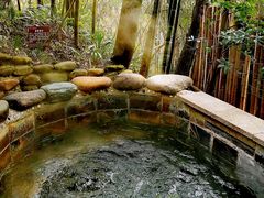 -花水湾第一村温泉大酒店