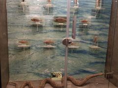 -下渚湖国家湿地公园科普馆