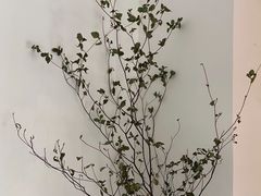 -小食院简餐厅
