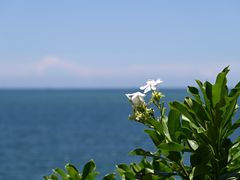 -广东惠东海龟国家级自然保护区