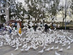 -天津妈祖文化园