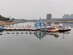 -九龙湖公园