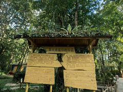 -莫里热带雨林景区