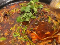 -鸿顺老铁锅美蛙鱼府(解放碑店)