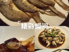 -甄御•海鲜新青岛菜(麦岛店)