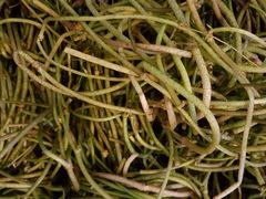 android_upload_pic-宋记冕宁土菜馆(海门渔村二店)