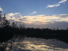 -白鹭湾湿地公园