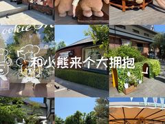 -伊豆泰迪熊博物馆