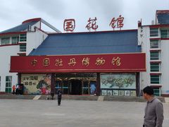 -曹州牡丹园