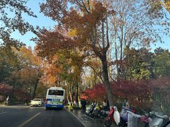 -北山街历史文化街区