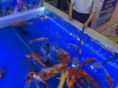 -哈尔滨市妇联幼儿园