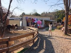 -HERRE·FARM 赫尔露营农场·团建聚会包场