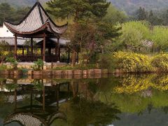 -黄陂区野村谷景区
