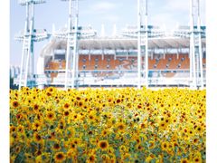 景点-海心沙亚运公园