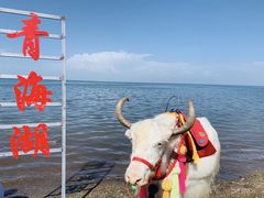 -青海湖国家重点风景名胜区