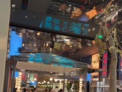 -桂满陇·海市蜃楼·黑金(国金店)