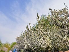 -元大都城垣遗址公园