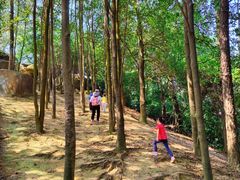 -火炉山森林公园