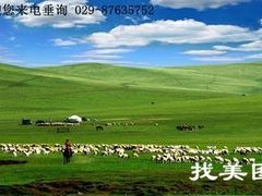 -大唐不夜城-开元广场
