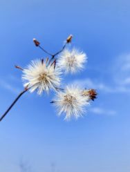 -可可天空农场(中大店)