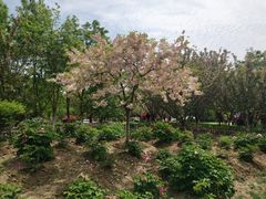 -江南大学(蠡湖校区)