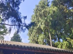 -成都武侯祠博物馆