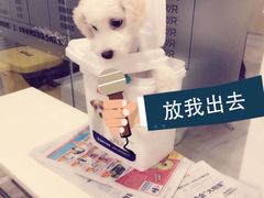 哆趣宠物-哆趣宠物医院·眼科·内镜·急重症转诊中心(上海店)
