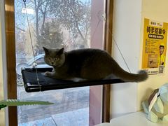 -Xian鲜趣人生(青湖印象名邸店)