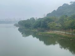 -风云岭森林公园