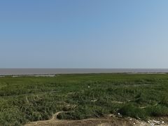 -南汇嘴观海公园